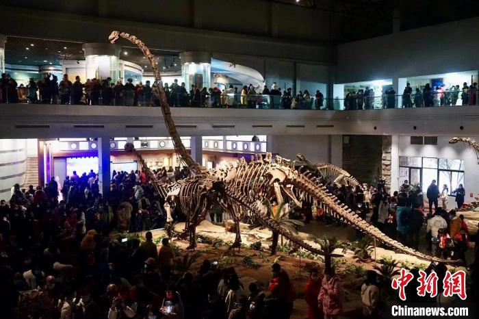 四川：自贡恐龙博物馆将“上新” “恐龙探秘馆”6月底亮相